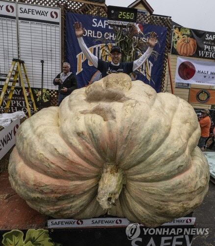 미네소타 출신 트레비스 진저가 10일(현지시간) 캘리포니아 하프문베이에서 열린 호박 컨테스트에서 자신이 수확한 초대형 호박(1161.2㎏)으로 1위를 차지한 뒤 포즈를 취하고 있다.  UPI=연합뉴스